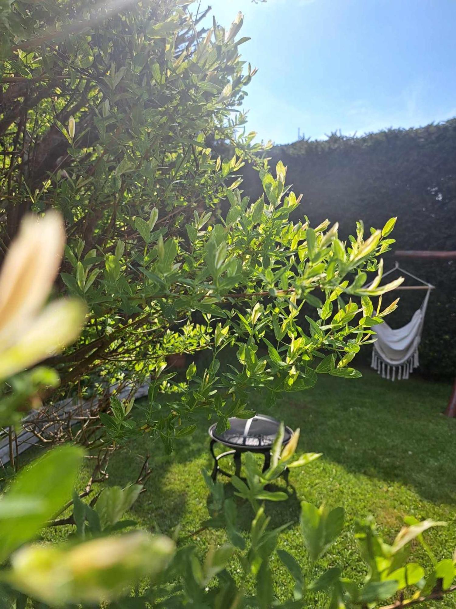 Apartamenty Maja Tylicz ภายนอก รูปภาพ