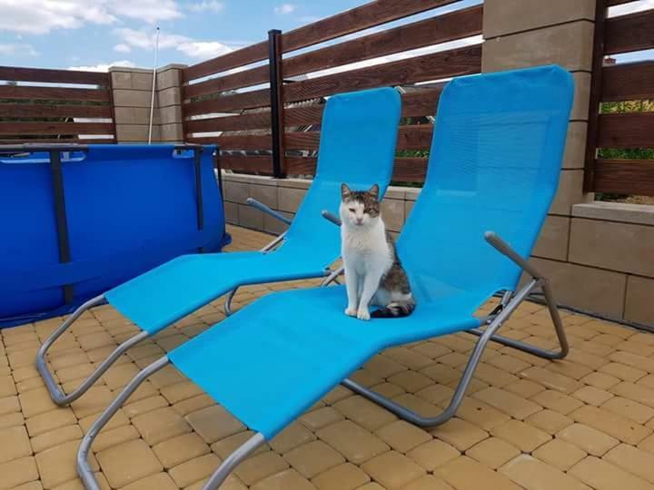 Apartamenty Maja Tylicz ภายนอก รูปภาพ